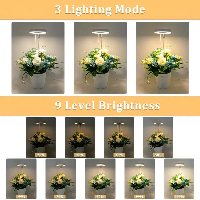 Full Spectrum LED Halo Plant Light With Stand Height Adjustable Auto Timer __stock:200 Garden & Patio refund_fee:800 Warranty