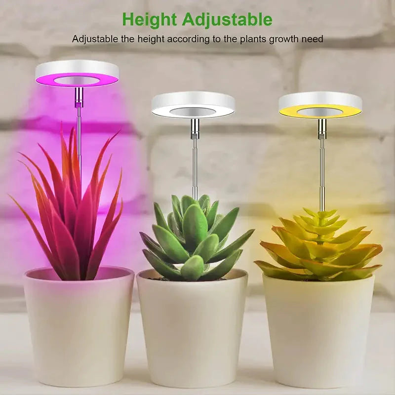 Full Spectrum LED Halo Plant Light With Stand Height Adjustable Auto Timer __stock:200 Garden & Patio refund_fee:800 Warranty