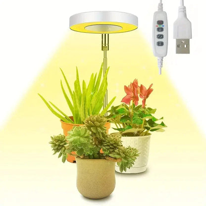 Full Spectrum LED Halo Plant Light With Stand Height Adjustable Auto Timer Warm White __stock:200 Garden & Patio refund_fee:800 Warranty