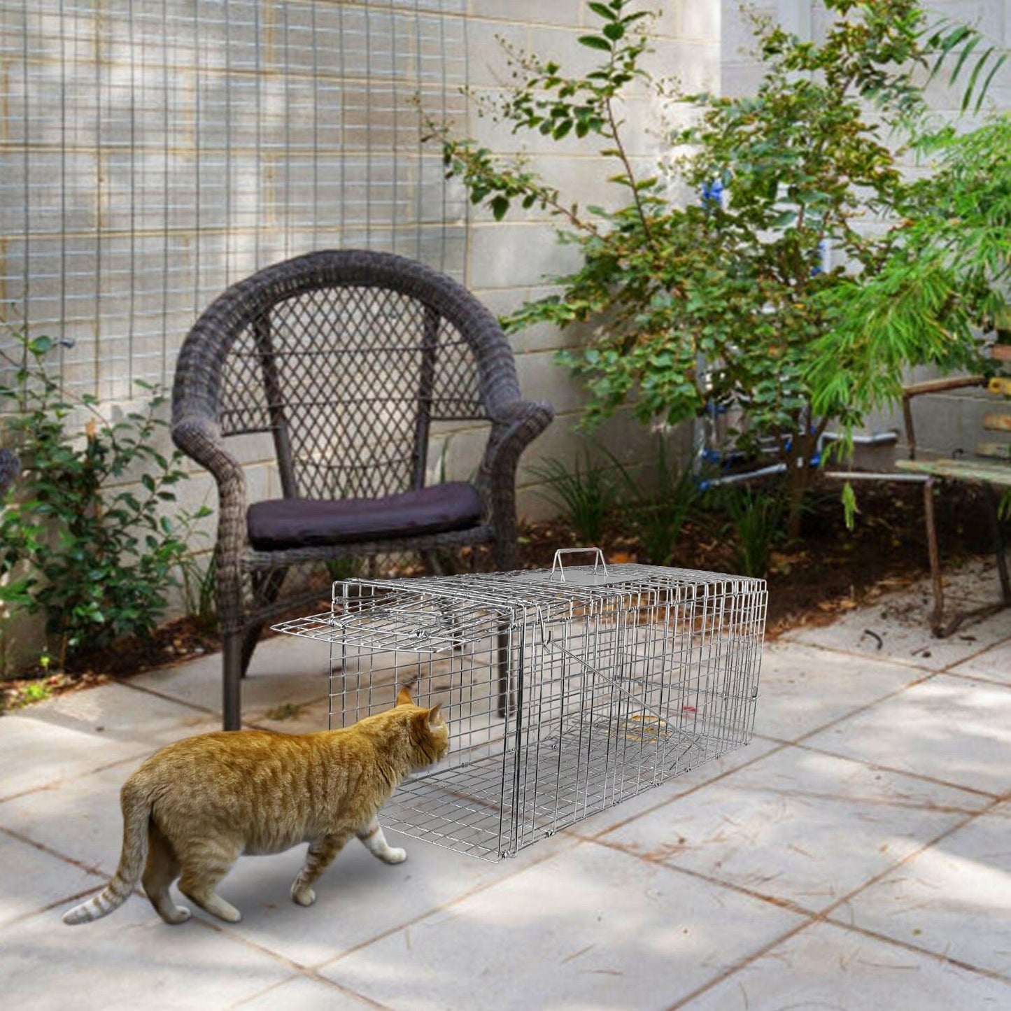 Humane Catch Release Live Animal Collapsible Galvanized Wire Trap Cage __stock:50 Pest Control refund_fee:1800