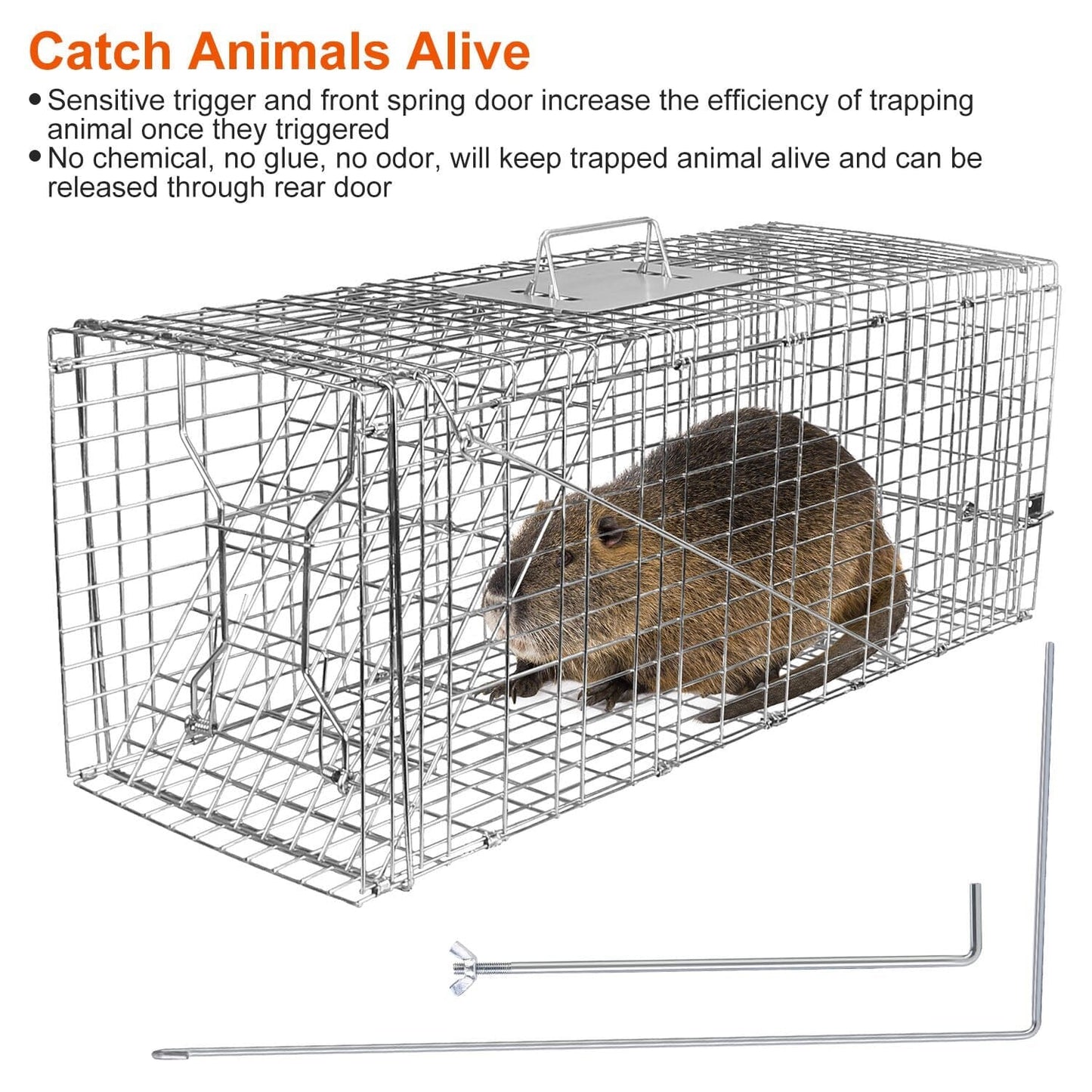 Humane Catch Release Live Animal Collapsible Galvanized Wire Trap Cage __stock:50 Pest Control refund_fee:1800