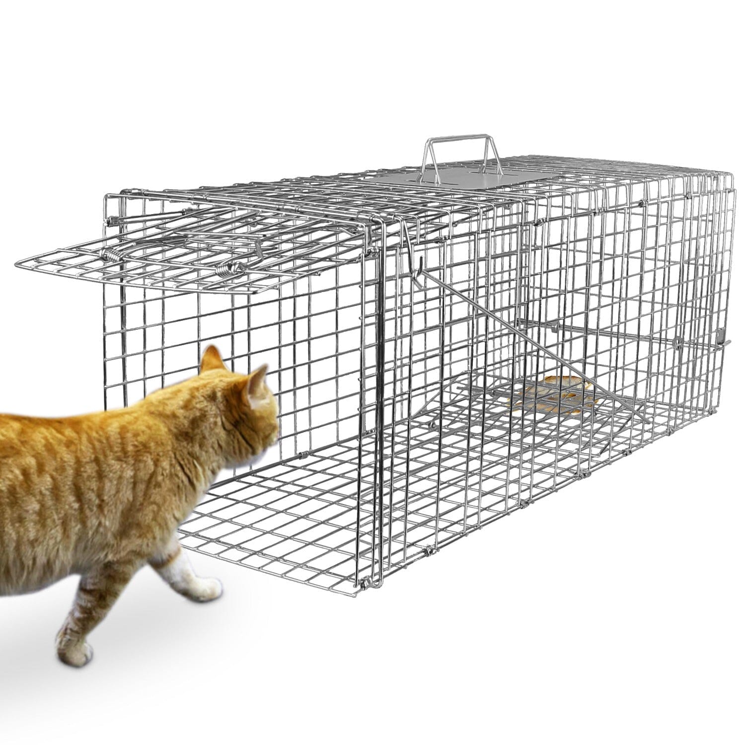 Humane Catch Release Live Animal Collapsible Galvanized Wire Trap Cage __stock:50 Pest Control refund_fee:1800