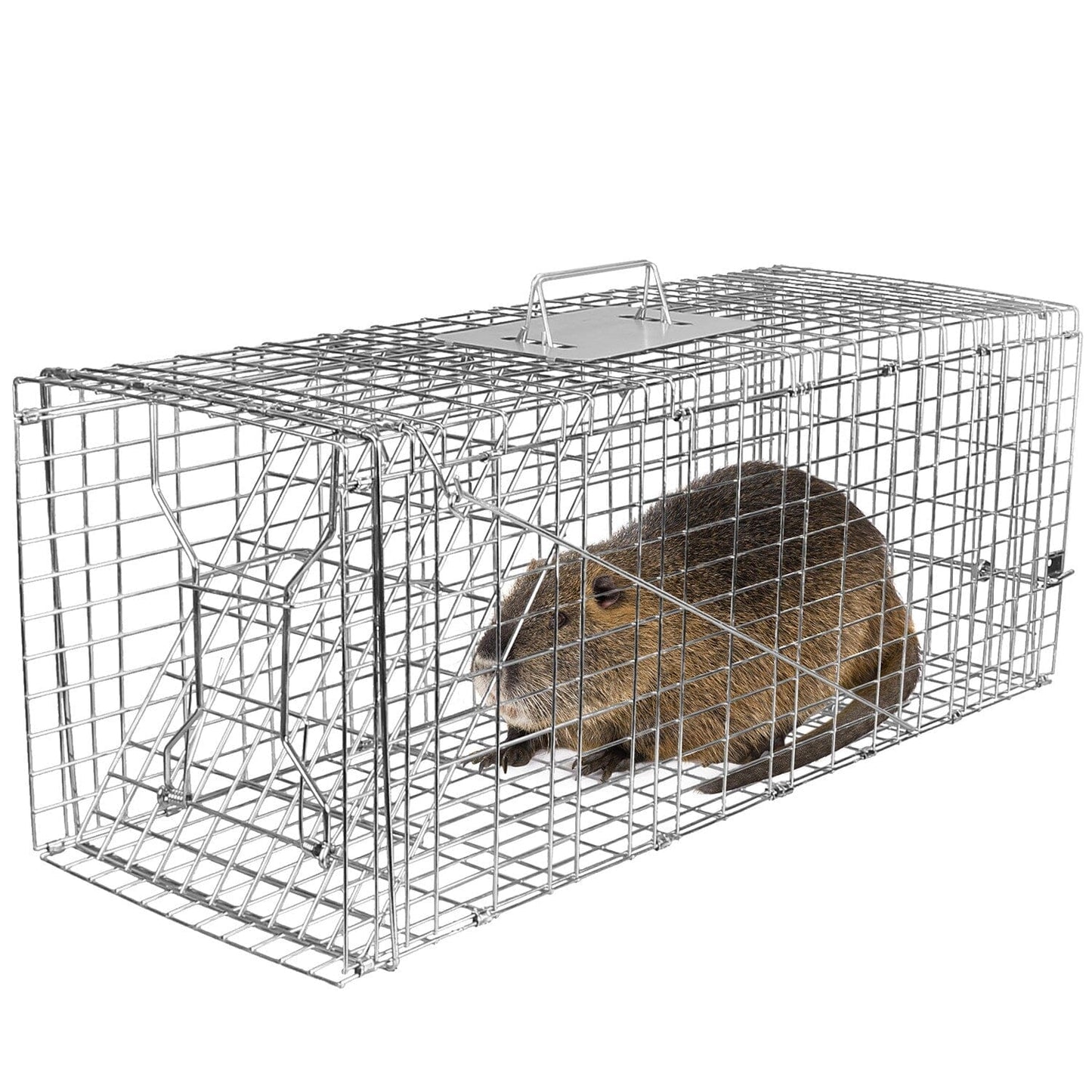 Humane Catch Release Live Animal Collapsible Galvanized Wire Trap Cage __stock:50 Pest Control refund_fee:1800