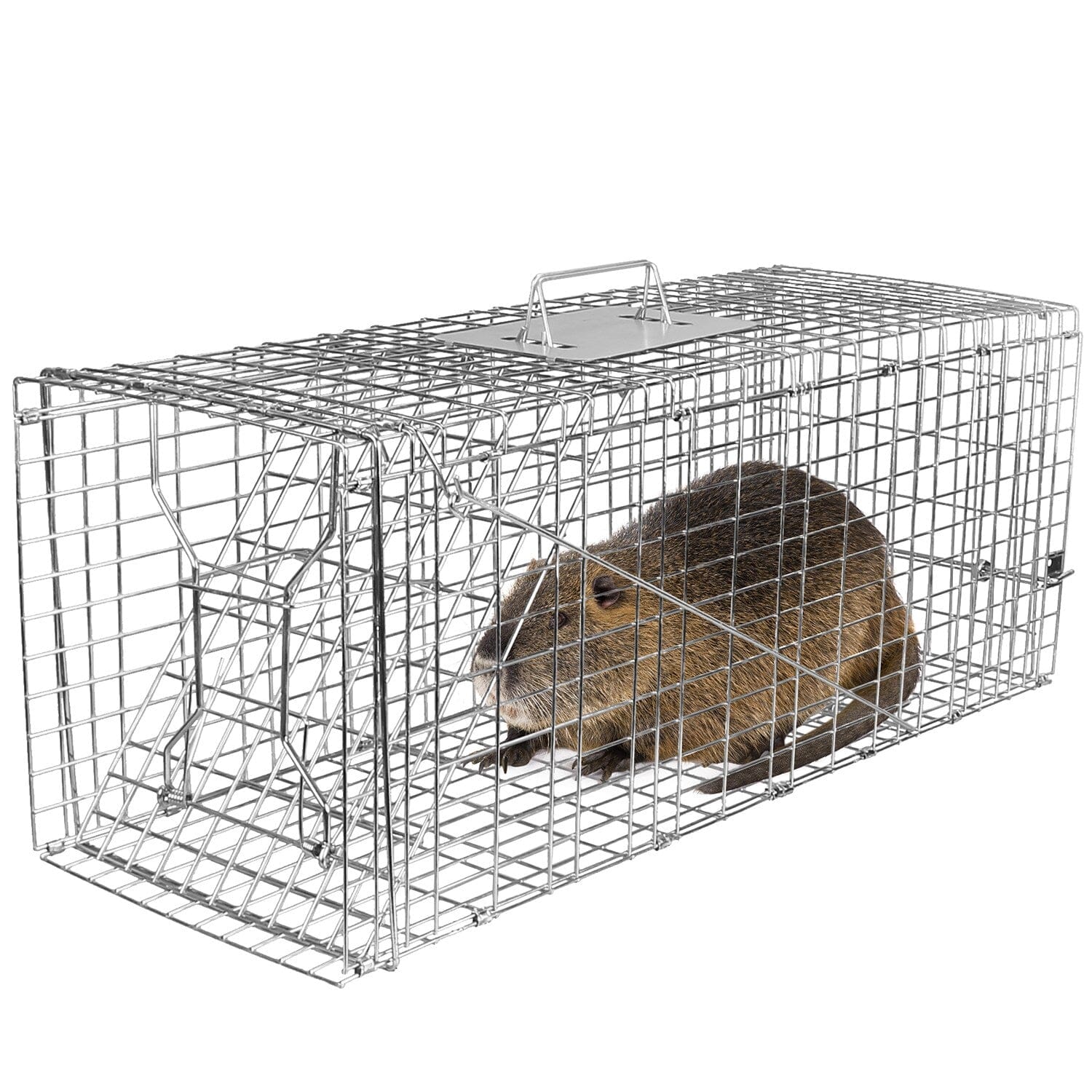 Humane Catch Release Live Animal Collapsible Galvanized Wire Trap Cage __stock:50 Pest Control refund_fee:1800