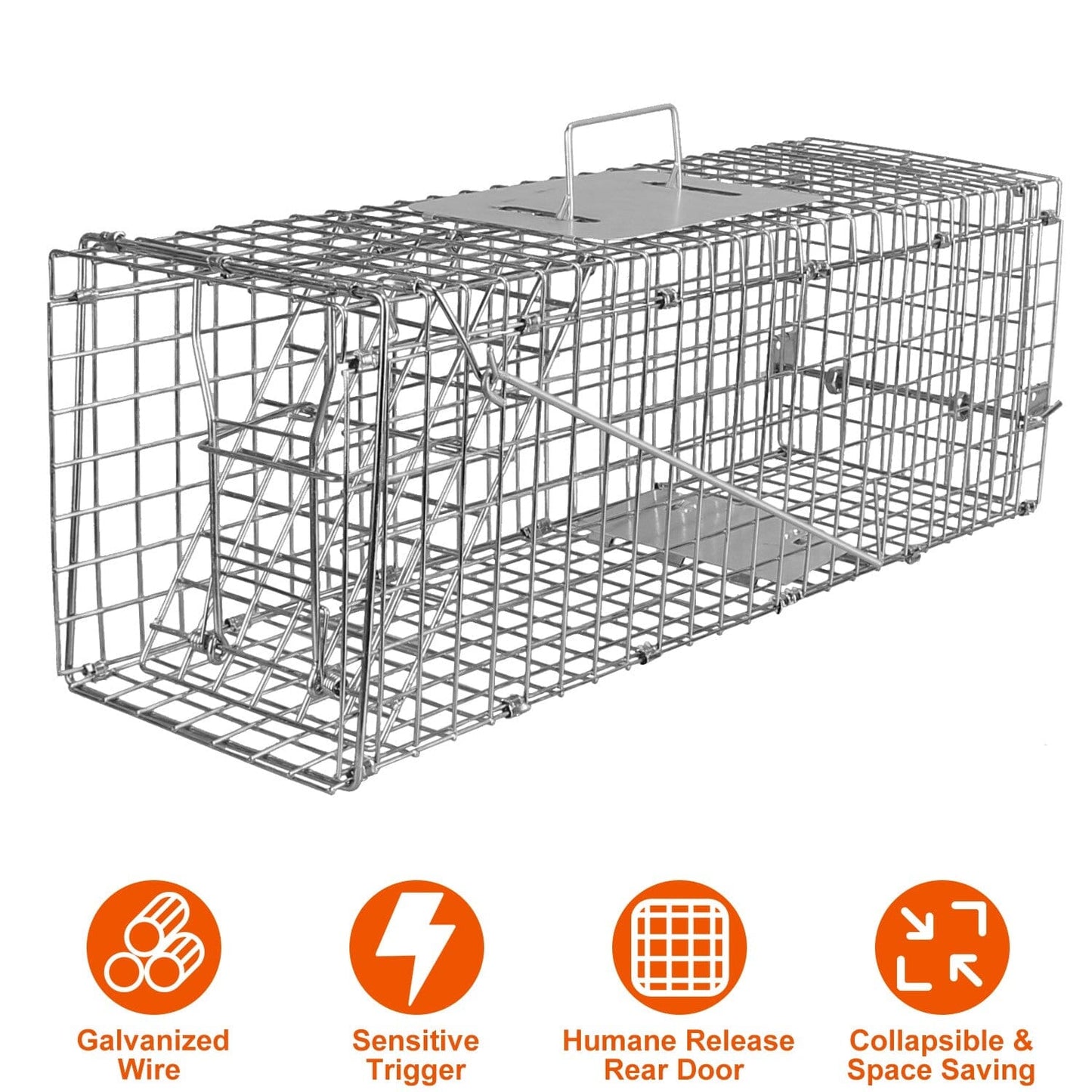 Humane Live Animal Rodent Cage Collapsible Galvanized Wire __stock:50 Low stock Pest Control refund_fee:1200