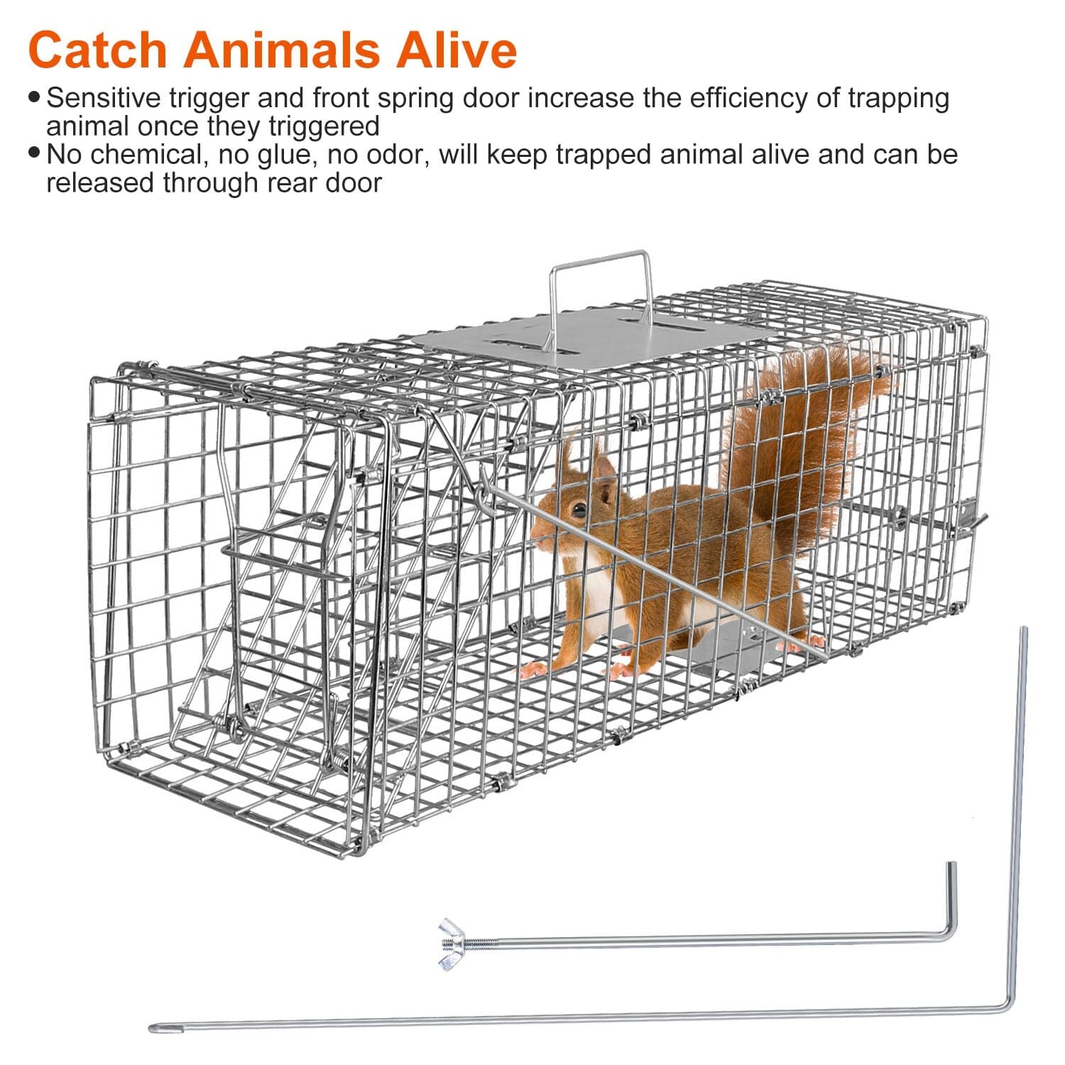 Humane Live Animal Rodent Cage Collapsible Galvanized Wire __stock:50 Low stock Pest Control refund_fee:1200