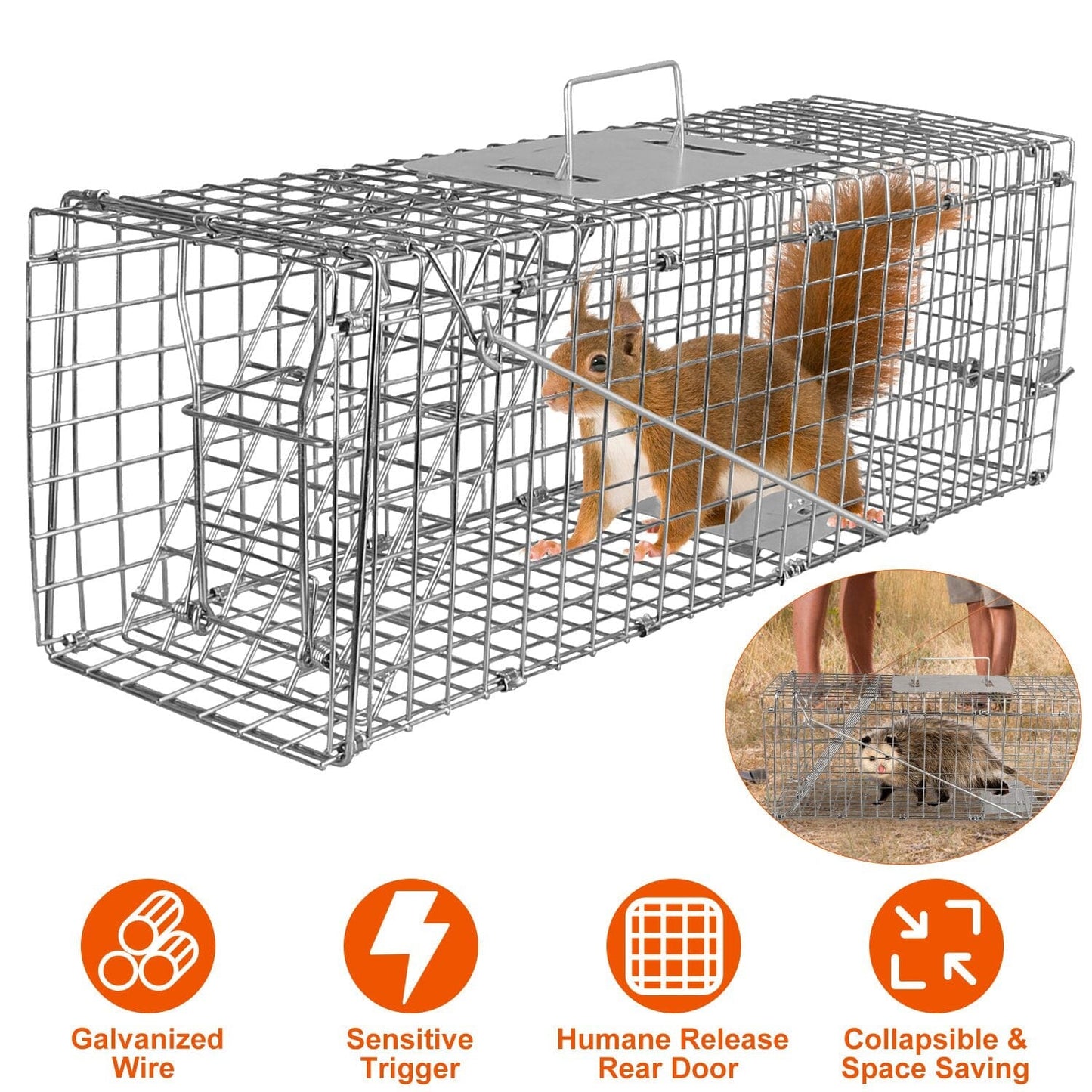 Humane Live Animal Rodent Cage Collapsible Galvanized Wire __stock:50 Low stock Pest Control refund_fee:1200