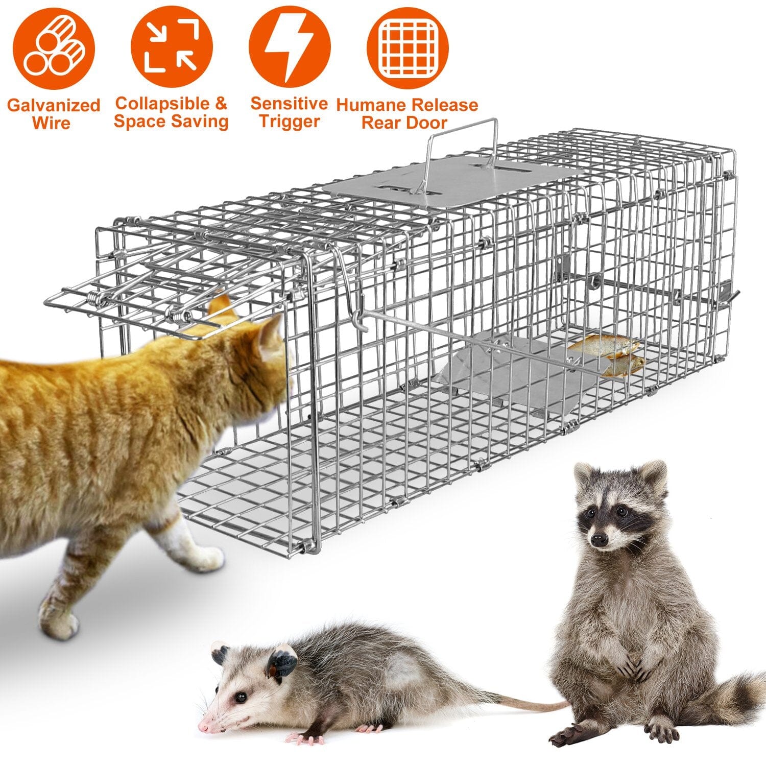 Humane Live Animal Rodent Cage Collapsible Galvanized Wire __stock:50 Low stock Pest Control refund_fee:1200