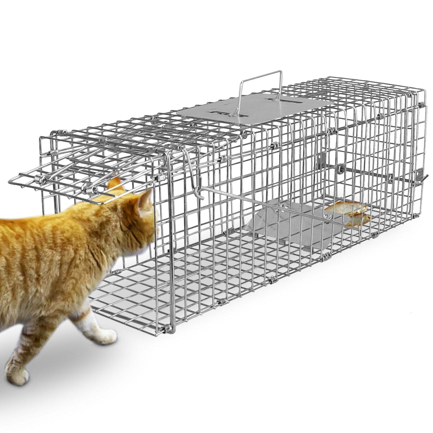 Humane Live Animal Rodent Cage Collapsible Galvanized Wire __stock:50 Low stock Pest Control refund_fee:1200