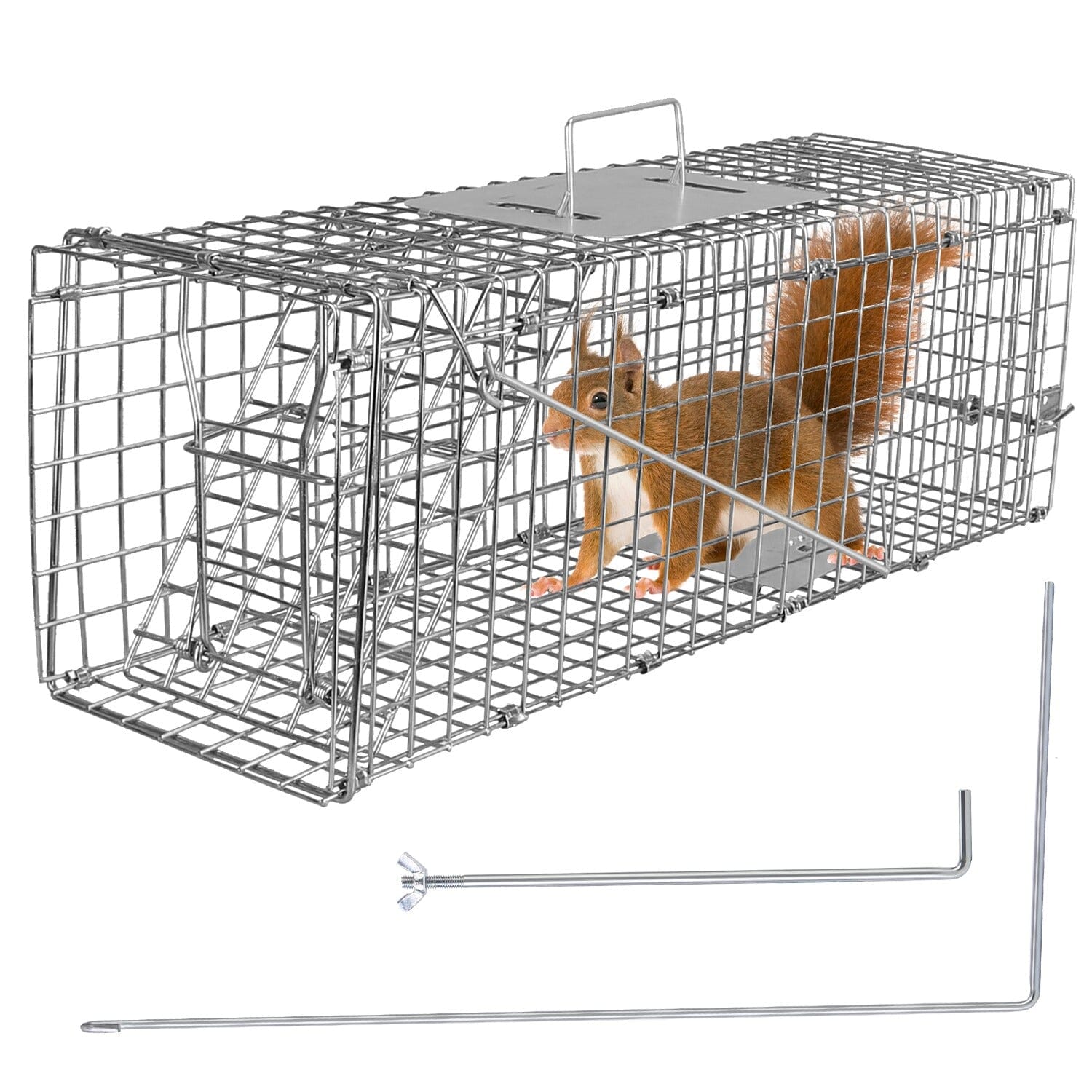 Humane Live Animal Rodent Cage Collapsible Galvanized Wire __stock:50 Low stock Pest Control refund_fee:1200