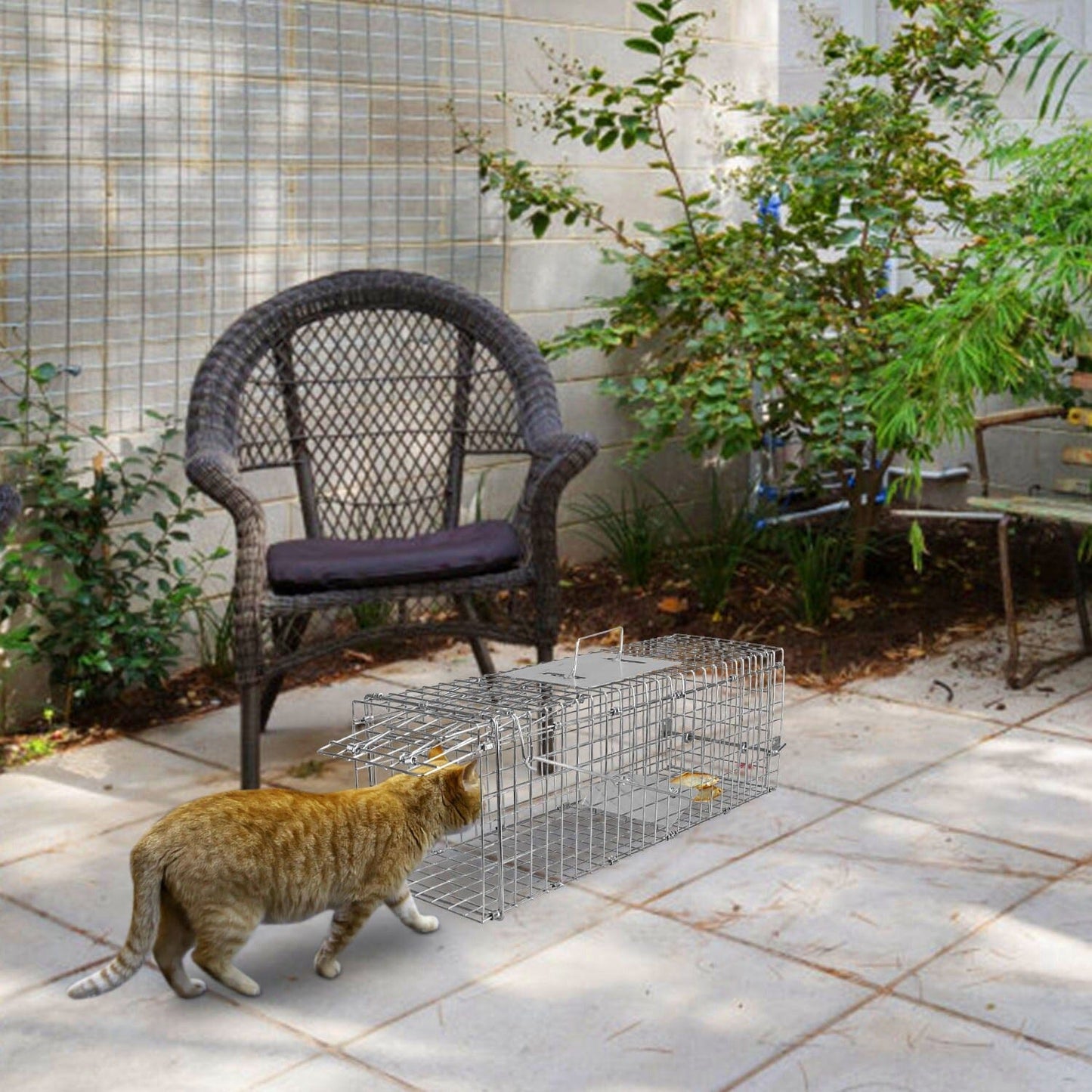 Humane Live Animal Rodent Cage Collapsible Galvanized Wire __stock:50 Low stock Pest Control refund_fee:1200