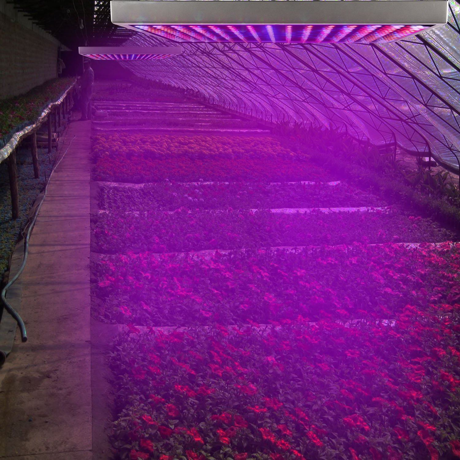 LED Grow Light Full Spectrum Hanging __stock:300 Garden & Patio refund_fee:1800