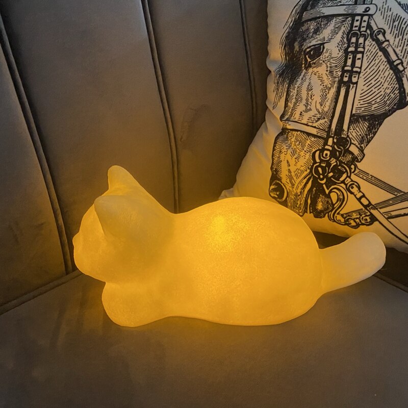 Soft Glow Cat Light cat glow illumination light soft