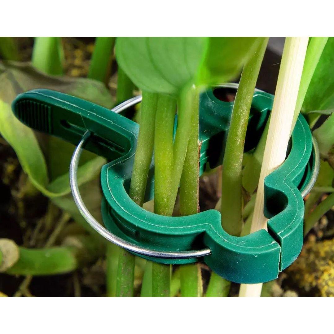 Plant Support Clips for Garden Vine to Grow Upright __stock:100 Garden & Patio refund_fee:800