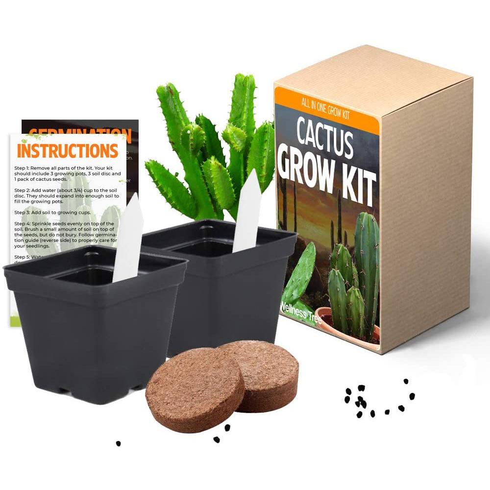 Plant Your Own Garden Grow Kit Cactus Garden & Patio refund_fee:800