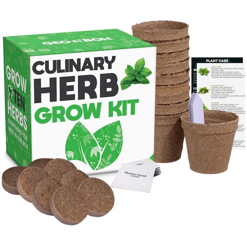 Plant Your Own Garden Grow Kit Culinary Herb Garden & Patio refund_fee:800