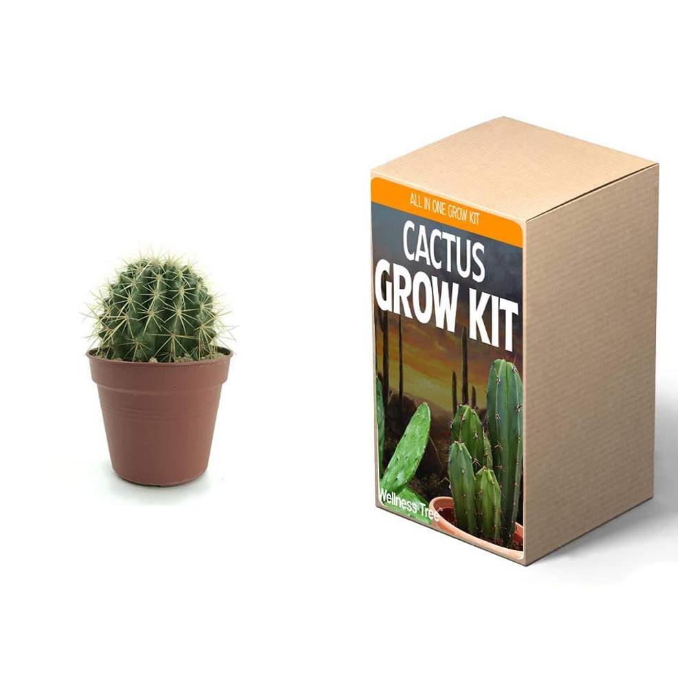 Plant Your Own Garden Grow Kit Garden & Patio refund_fee:800