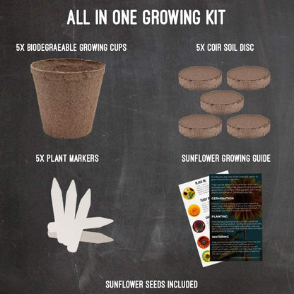 Plant Your Own Garden Grow Kit Garden & Patio refund_fee:800