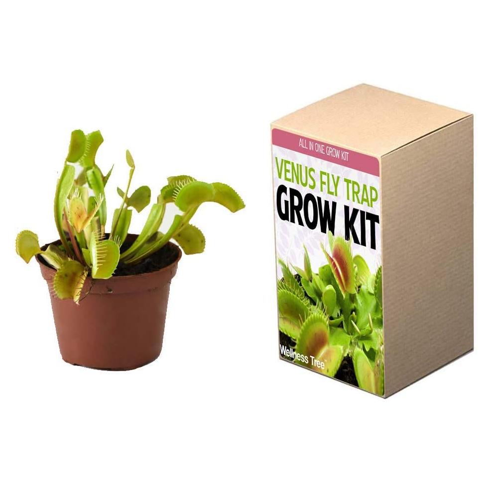 Plant Your Own Garden Grow Kit Garden & Patio refund_fee:800