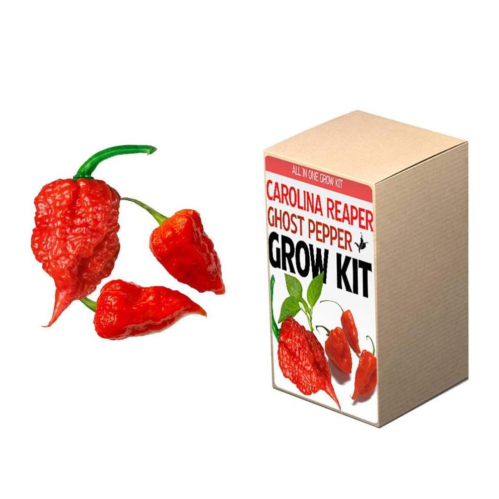 Plant Your Own Garden Grow Kit Garden & Patio refund_fee:800