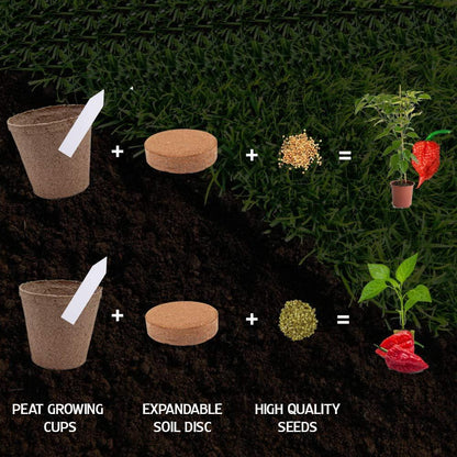 Plant Your Own Garden Grow Kit Garden & Patio refund_fee:800