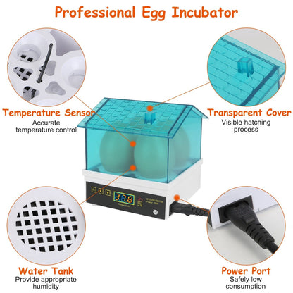 Professional Poultry Hatcher with Digital Display Automatic Temperature Humidity __stock:50 Kitchen & Dining refund_fee:1200 Warranty