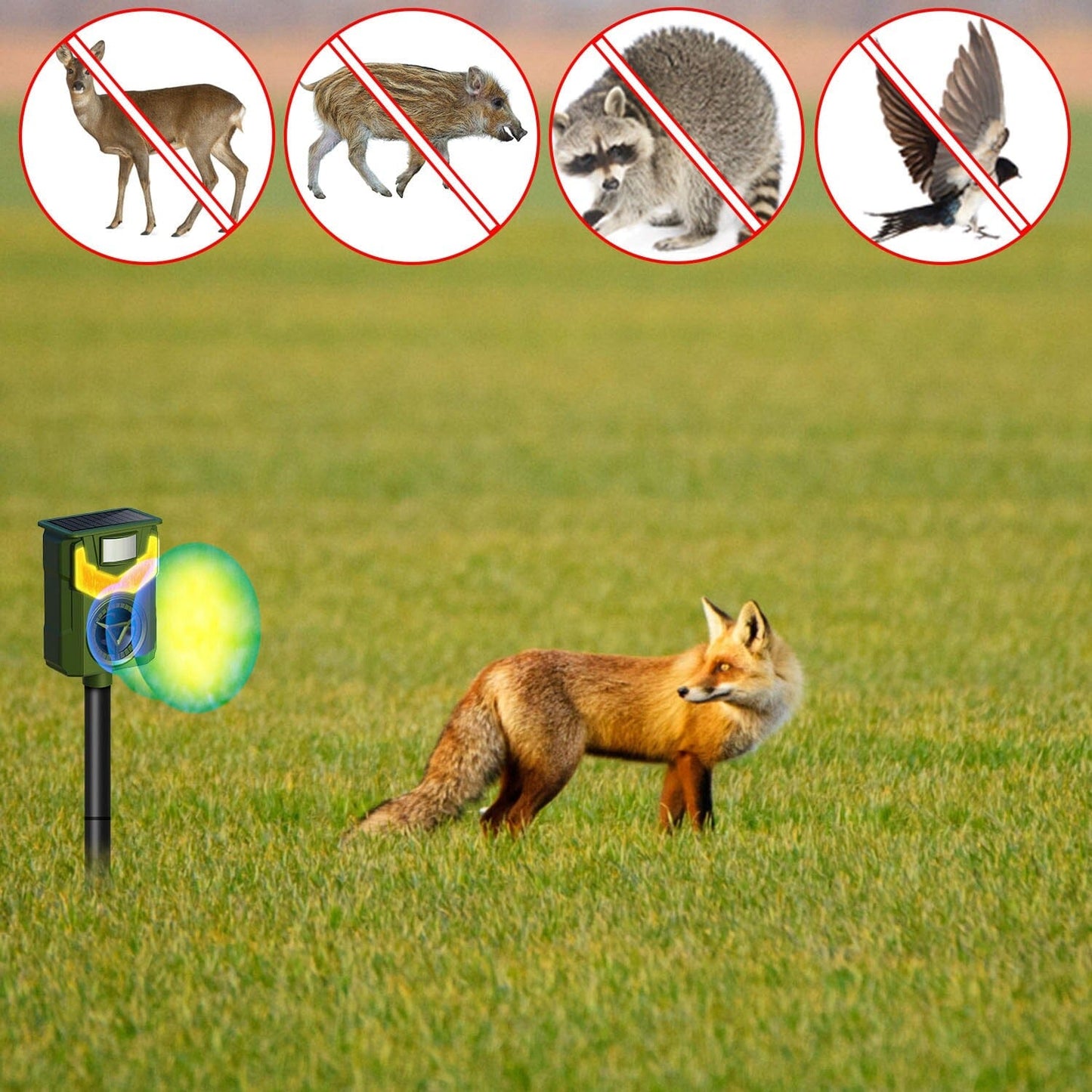 Solar Ultrasonic Animal Repeller with Flame Light USB Charge Motion Sensor __stock:50 Low stock Pest Control refund_fee:1200 Warranty