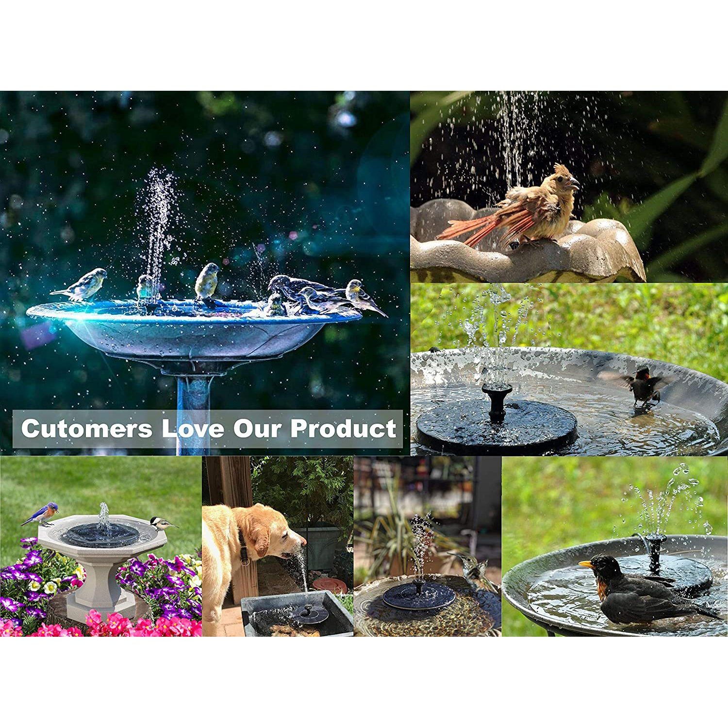 Solatec Solar Fountain Garden & Patio refund_fee:800